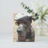 Great Dane mit Hut und Sonnenbrille Postkarte (Stehend Vorderseite)
