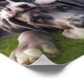 Great Dane Mom und ihr Welpe Poster (Ecke)