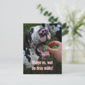 Great Dane Motto Motivation  Postkarte (Stehend Vorderseite)