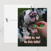 Great Dane Motto Motivation  Postkarte (Vorne/Hinten)