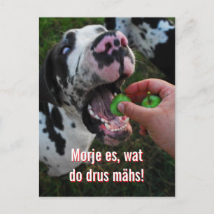 Great Dane Motto Motivation  Postkarte
