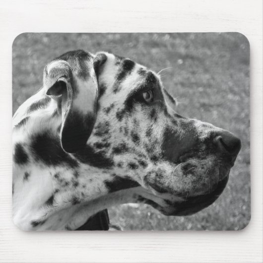 GREAT DANE MOUSEPAD (Vorne)