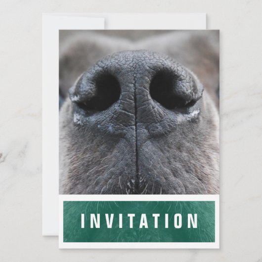 Great Dane Nose up Einladung (Vorderseite)
