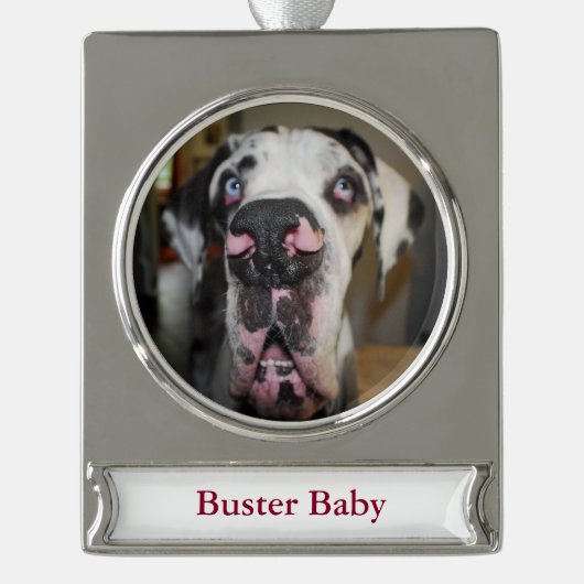 Great Dane Ornament (Vorderseite)