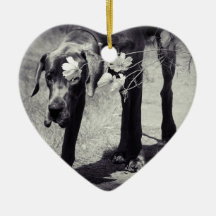 Great Dane Ornaments Photo Gift Keramikornament