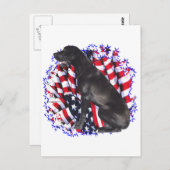 Great Dane Patriot Postkarte (Vorne/Hinten)