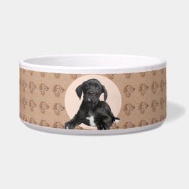 Great Dane Personalisiert Foto & Name Hunde Bowl Napf