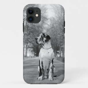 Great Dane Persönliche Fotografie Case