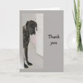 Great Dane Pet Hunde Humor Danke (Vorderseite)