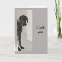 Great Dane Pet Hunde Humor Danke