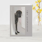 Great Dane Pet Hunde Humor Glückwunsch Grad Karte (Gelbe Blume)