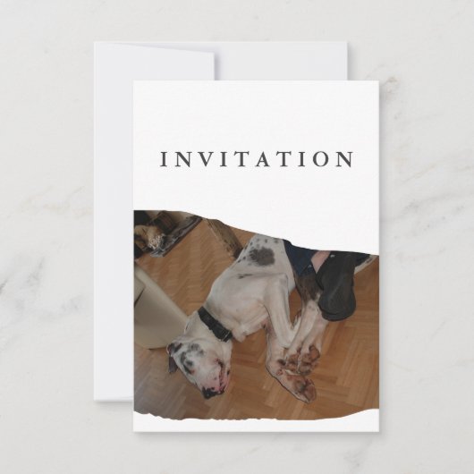 Great Dane Photo invitation  Einladung (Vorderseite)