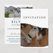 Great Dane Photo invitation  Einladung (Vorne/Hinten)