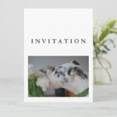 Great Dane Photo invitation  Einladung (Stehend Vorderseite)