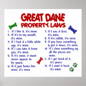 GREAT DANE PL2 POSTER (Vorne)