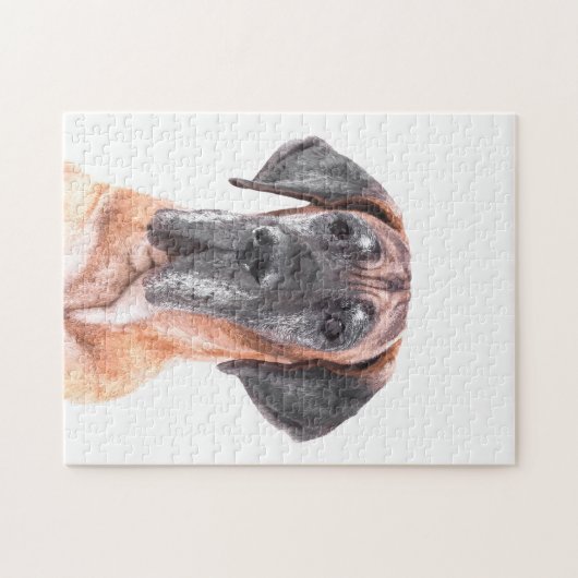 Great Dane Portrait Puzzle (Horizontal)