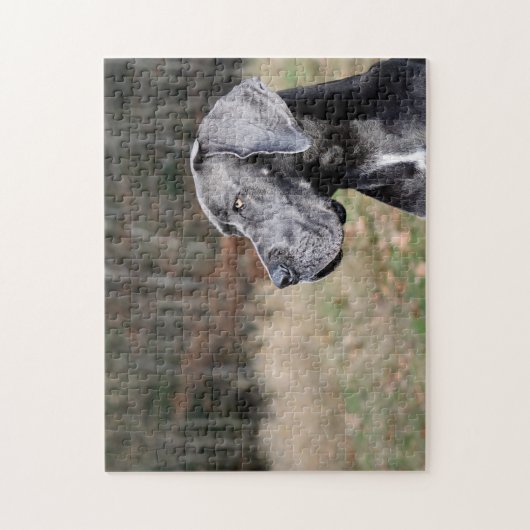 Great Dane Portrait Puzzle (Vertikal)