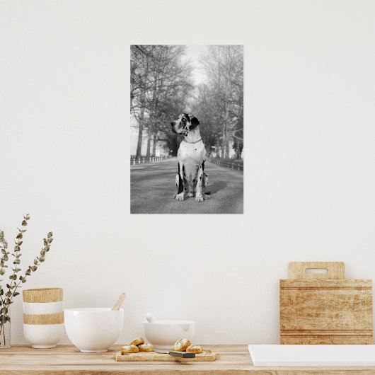 Great Dane Poster (Küche)