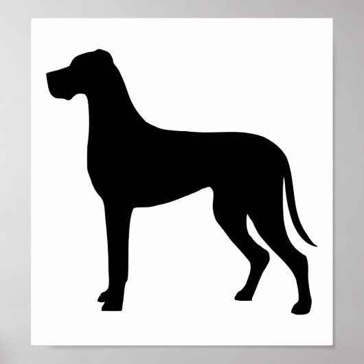 Great Dane Poster (Vorne)