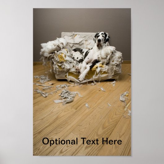 Great Dane Poster (Vorne)