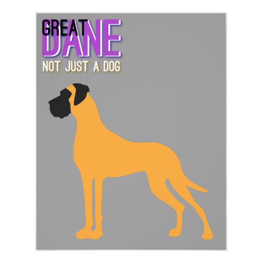 Great Dane Poster (Vorne)