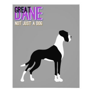 Great Dane Poster