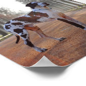 Great Dane Poster (Ecke)
