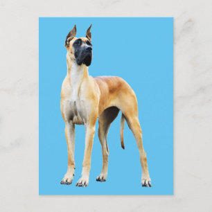 Great Dane Postkarte