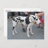 Great Dane Postkarte (Vorne/Hinten)
