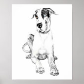 Great Dane Pouting Harlequin Poster (Vorne)