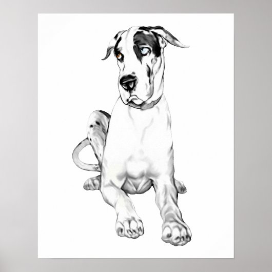 Great Dane Pouting Harlequin Poster (Vorne)