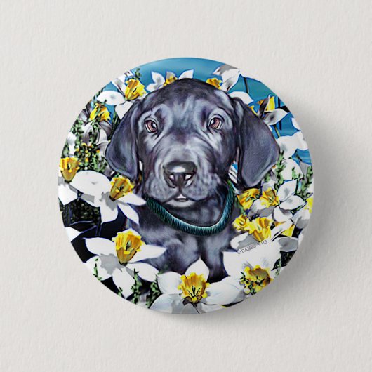 Great Dane Pup in Daffodils Blue Button (Vorderseite)