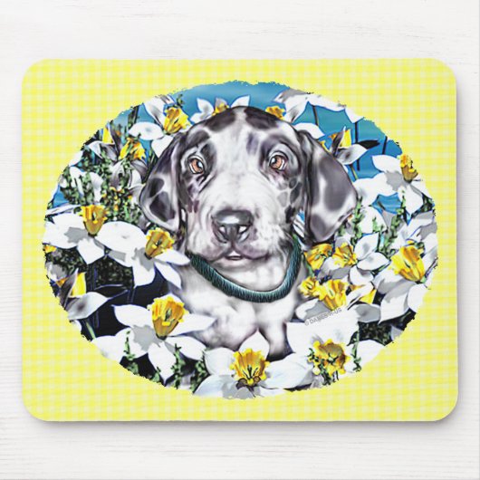 Great Dane Pup in Daffodils Harlequin Mousepad (Vorne)