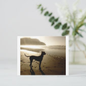 Great Dane Puppy Sunset Postkarte (Stehend Vorderseite)