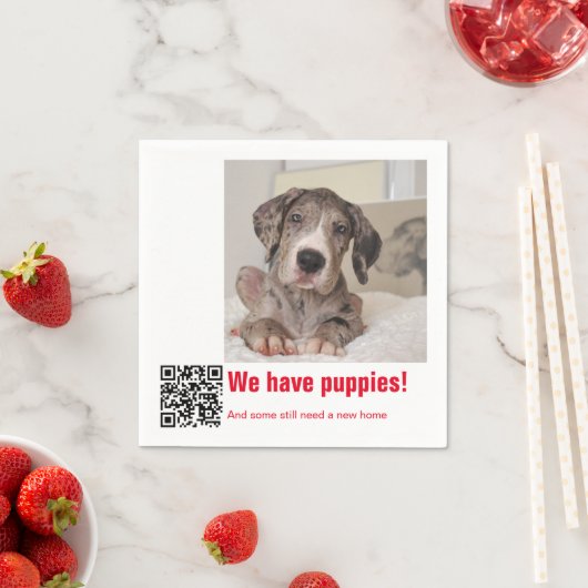 Great Dane Puppy zum Verkauf Serviette (Beispiel)