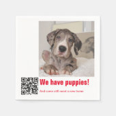 Great Dane Puppy zum Verkauf Serviette (Vorderseite)