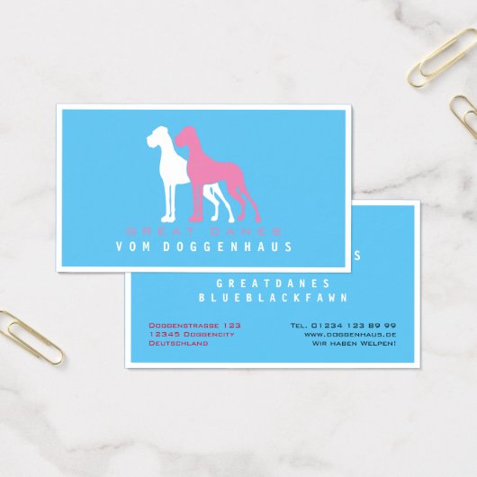 Great Dane rein (Büro)
