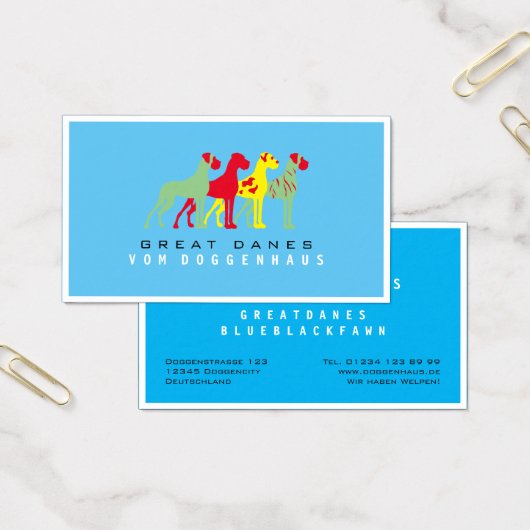 Great Dane rein (Büro)