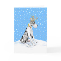Great Dane Reindeer Christmas Harlequin