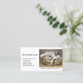 Great Dane Relaxen auf kauen Sofa Weiß Visitenkarte (Stehend Vorderseite)