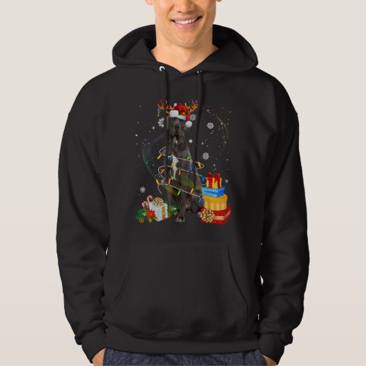 Great Dane Rentier Weihnachtslicht Funny Dog Xma Hoodie (Vorderseite)