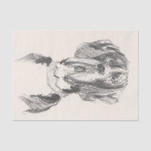 Great Dane Seidenpapier