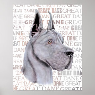 Great Dane Show Colors Blue Poster