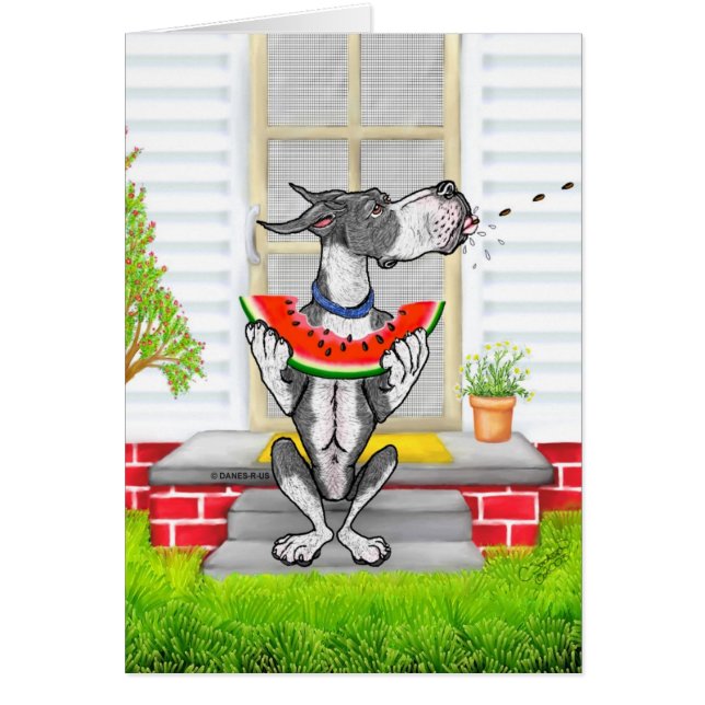 Great Dane SPIT Mantle (Vorne)