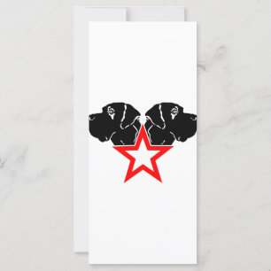 Great Dane Star Head