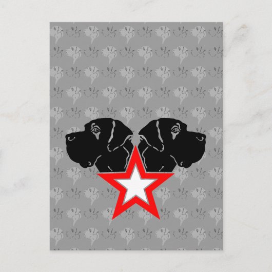 Great Dane Star Head Postkarte (Vorderseite)