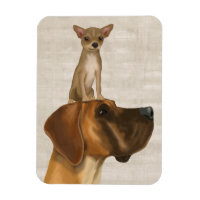 Great Dane und Chihuahua 2