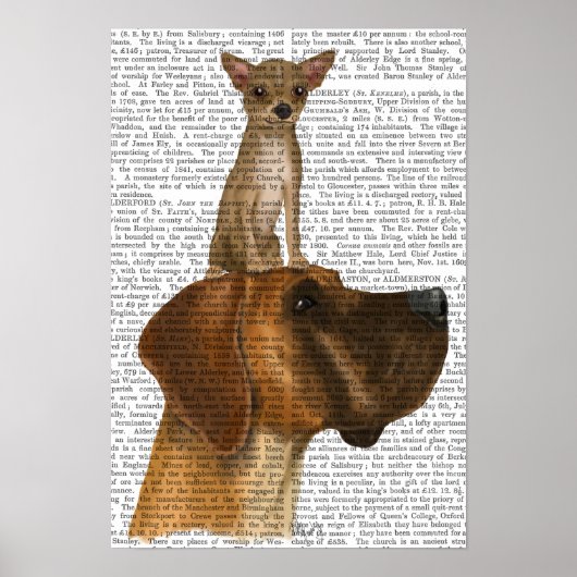 Great Dane und Chihuahua Poster (Vorne)