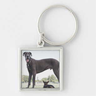 Great dane und kleiner Misch-zucht Hund Schlüsselanhänger