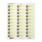 Great Dane Valley of Zeus Labels (Vorne)